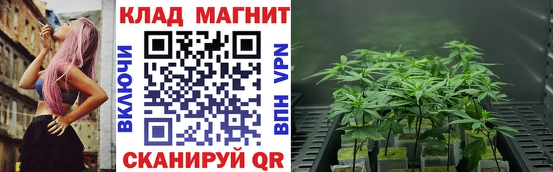 Купить ГАШИШ  АМФЕТАМИН  Cocaine  MDMA  МЕФ  Конопля  СК  Беломорск