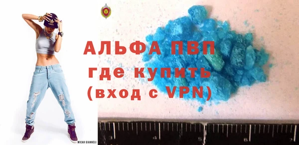 шишки Аркадак