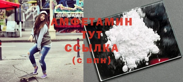 шишки Аркадак
