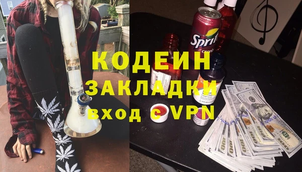 шишки Аркадак