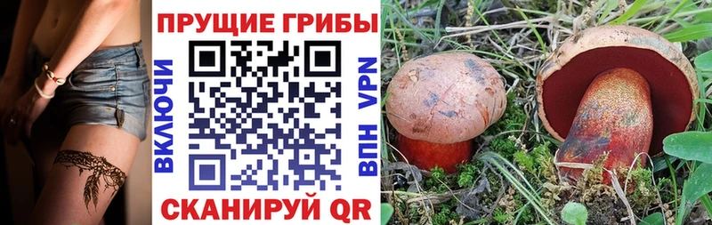 Купить закладки  Беломорск  Галлюциногенные грибы Psilocybine cubensis 