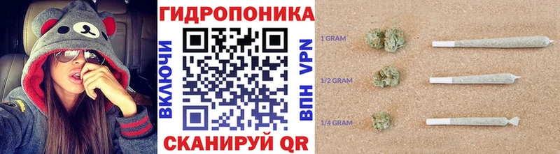 Конопля AK-47  Купить закладки  Беломорск 